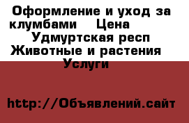 Оформление и уход за клумбами. › Цена ­ 1 000 - Удмуртская респ. Животные и растения » Услуги   